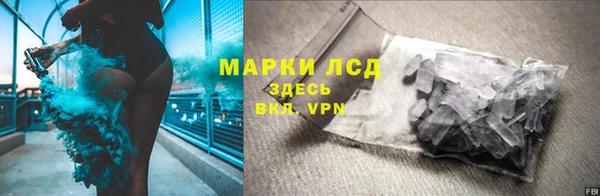 ГАЛЛЮЦИНОГЕННЫЕ ГРИБЫ Белокуриха