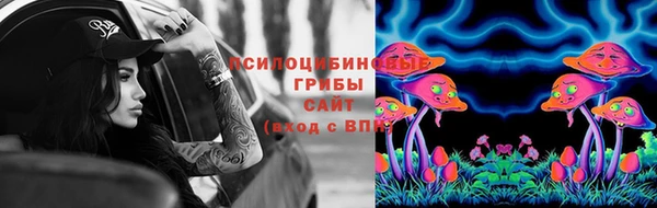 ГАЛЛЮЦИНОГЕННЫЕ ГРИБЫ Белокуриха