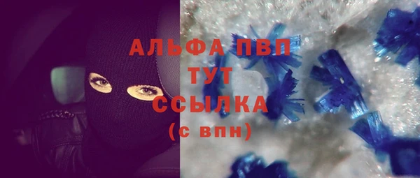 ГАЛЛЮЦИНОГЕННЫЕ ГРИБЫ Белокуриха