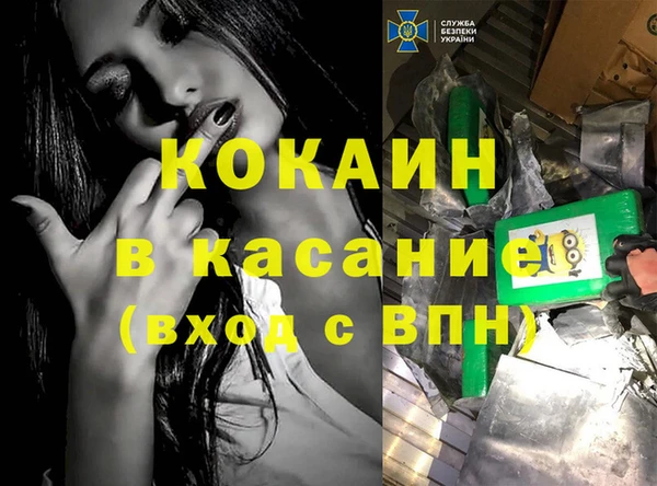 ГАЛЛЮЦИНОГЕННЫЕ ГРИБЫ Белокуриха