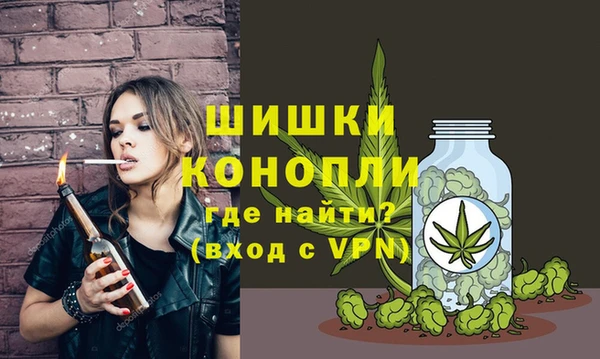 ГАЛЛЮЦИНОГЕННЫЕ ГРИБЫ Белокуриха
