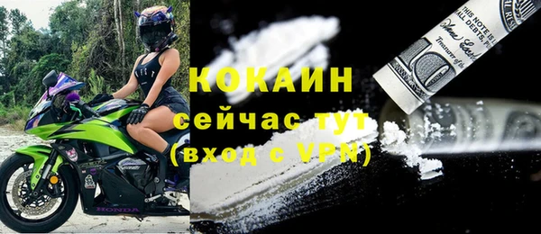 ГАЛЛЮЦИНОГЕННЫЕ ГРИБЫ Белокуриха