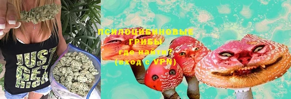 ГАЛЛЮЦИНОГЕННЫЕ ГРИБЫ Белокуриха