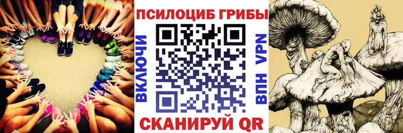 Галлюциногенные грибы ЛСД  mega ССЫЛКА  Полесск 